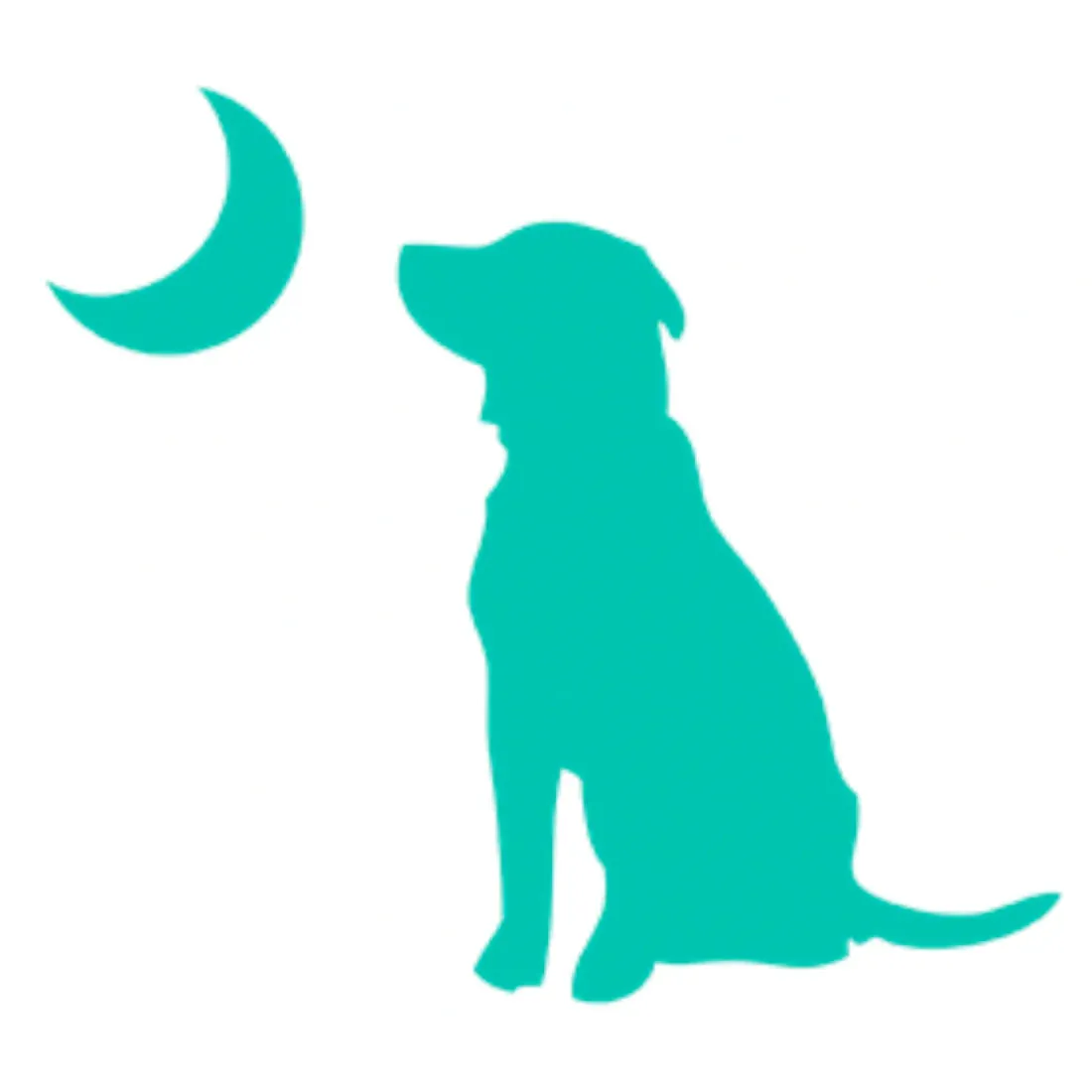 Local Boy Outfitters Dog & Moon Decal