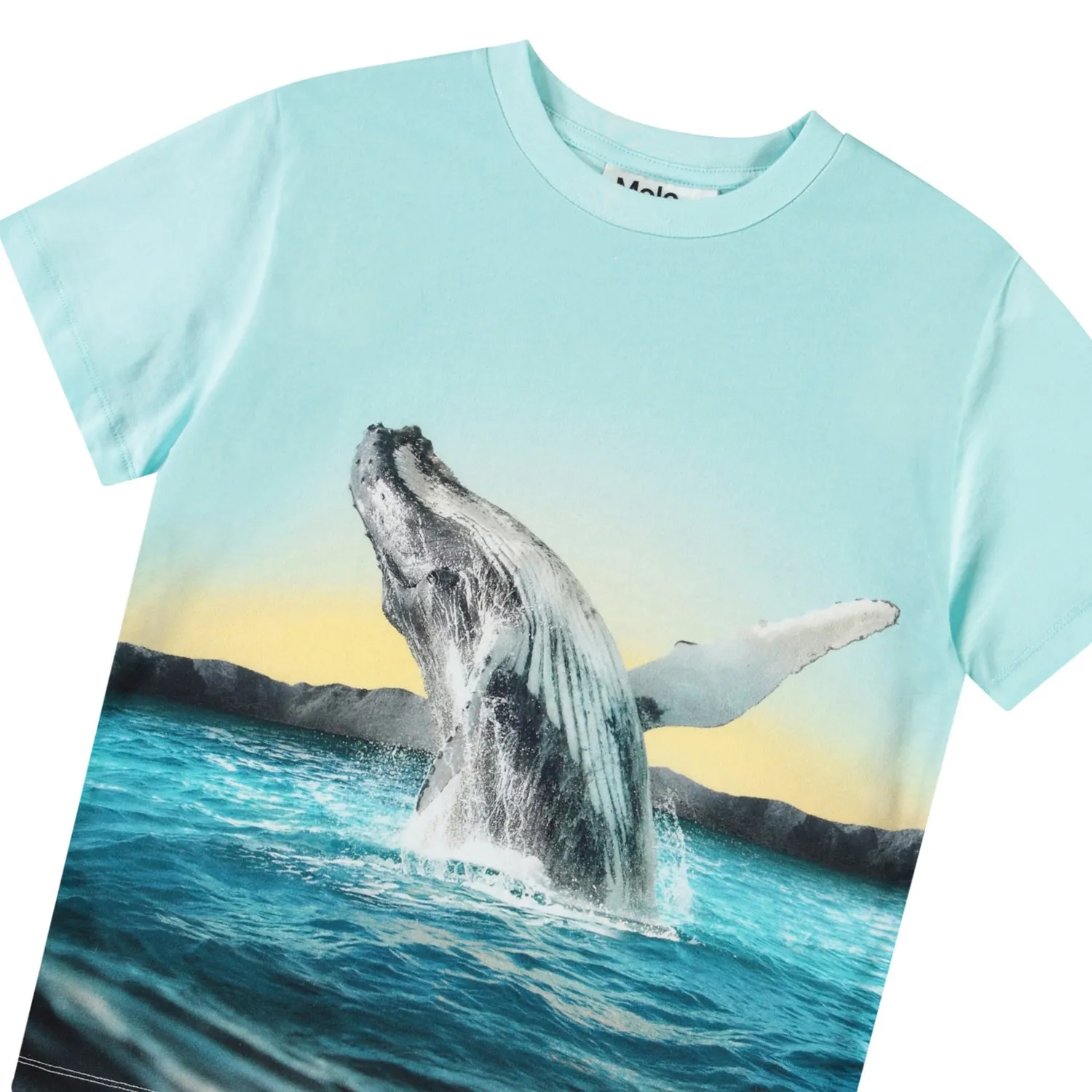 Rame Whale Jump T-Shirt
