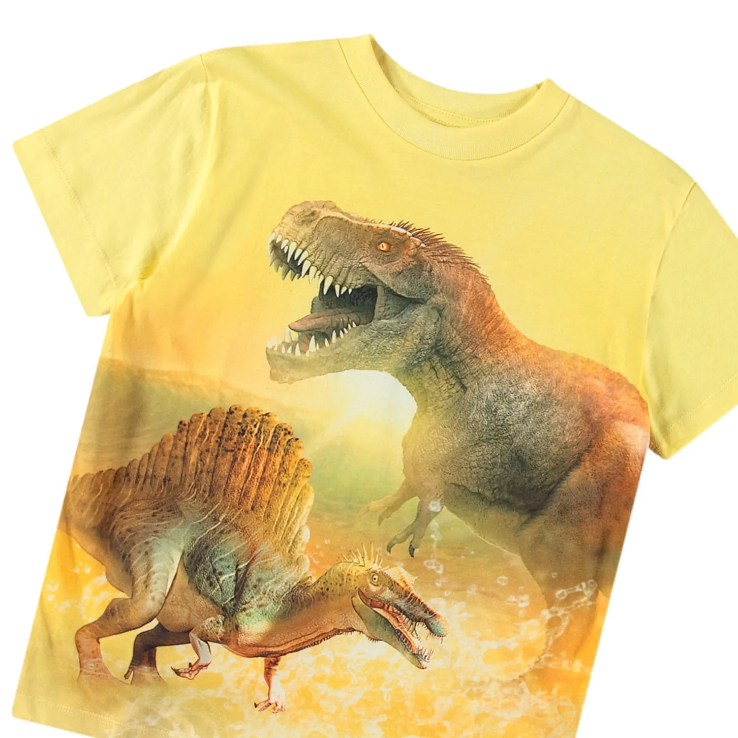Roxo Sunny Dinos T-Shirt